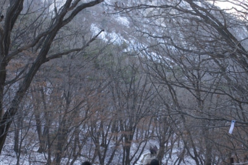 北漢山國立公園(道峰山地區) 