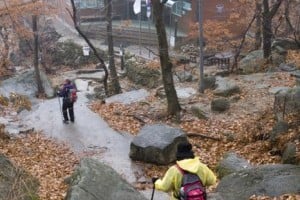 北漢山國立公園(道峯山地區) 