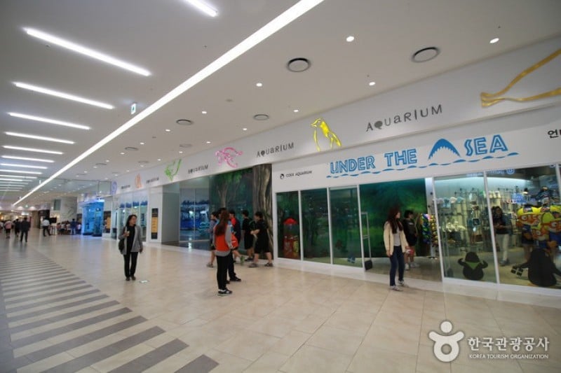 COEX水族館 (3/8)