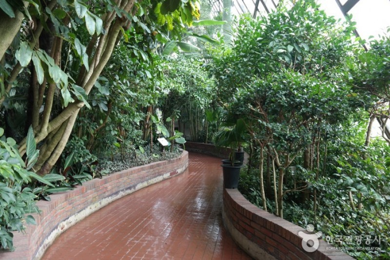 首爾兒童大公園