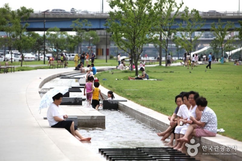 漢江市民公園汝矣島地區