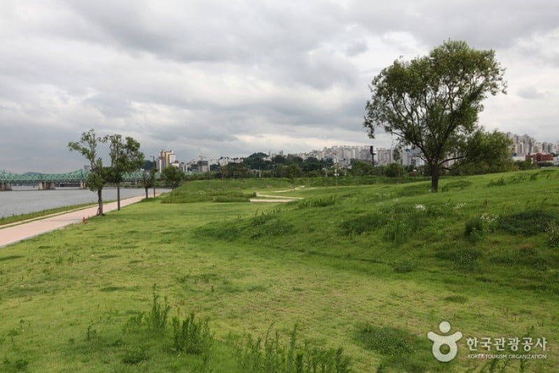 漢江市民公園汝矣島地區