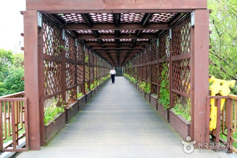 仙遊島公園