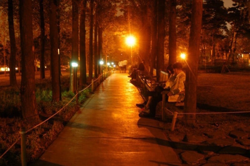 仙遊島公園