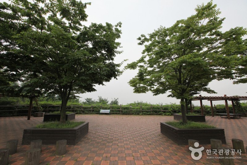 世界盃公園