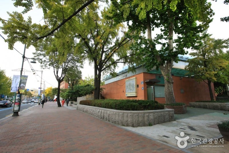 大學路