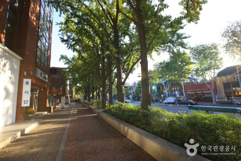 大學路