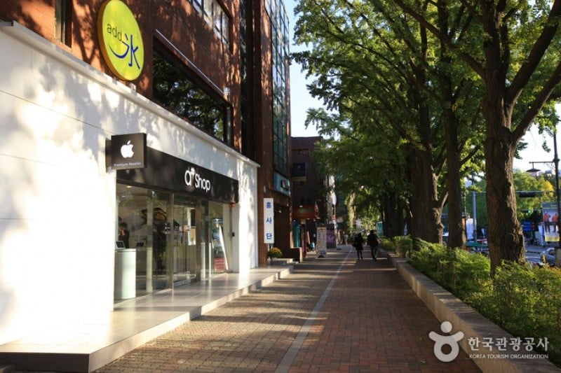 大學路