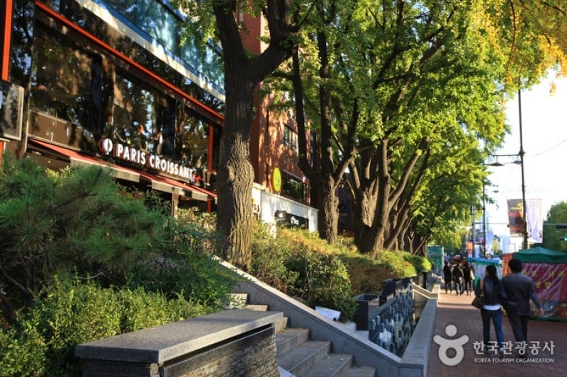 大學路