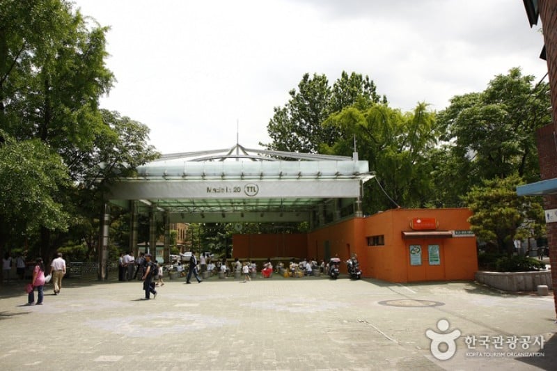 大學路