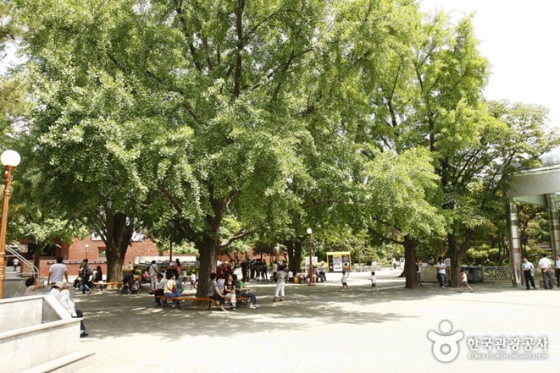 大學路