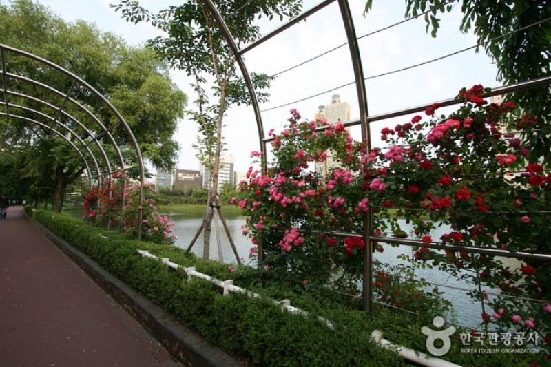 松坡渡口公園