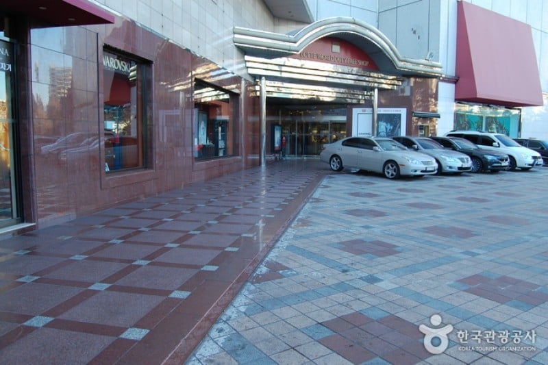 Lotte Hotel World (1/18)