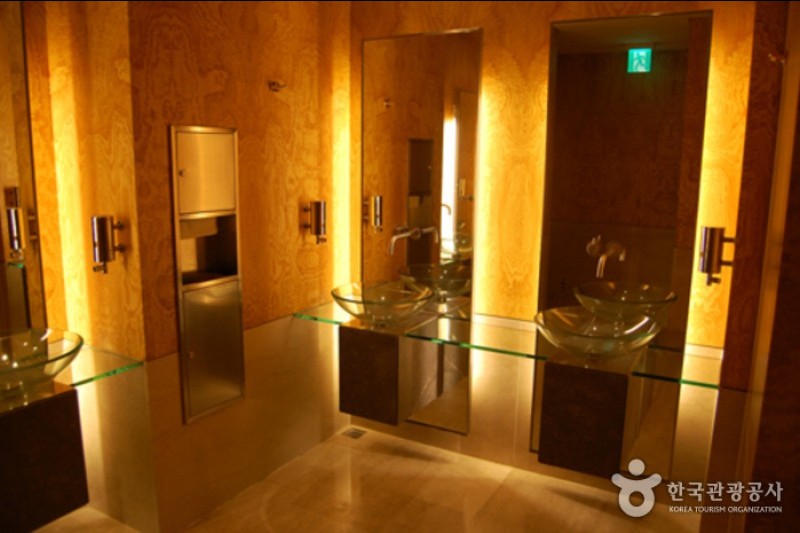 Lotte Hotel World (9/18)