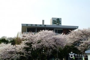 南山圖書館 