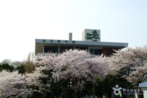南山圖書館