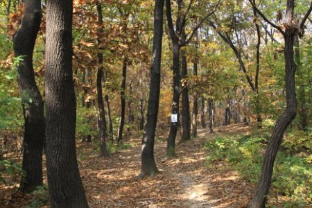 道峯山(도봉산)