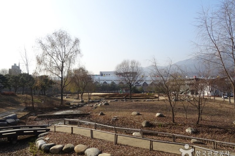 首爾菖蒲園 (2/5)