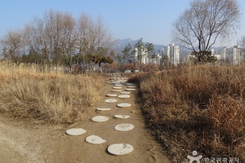 首爾菖蒲園 (4/5)