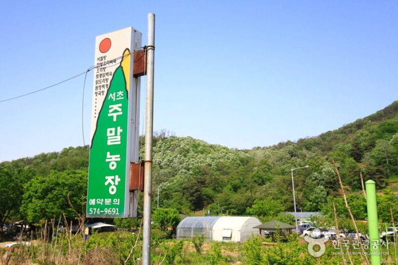 瑞草週末農場