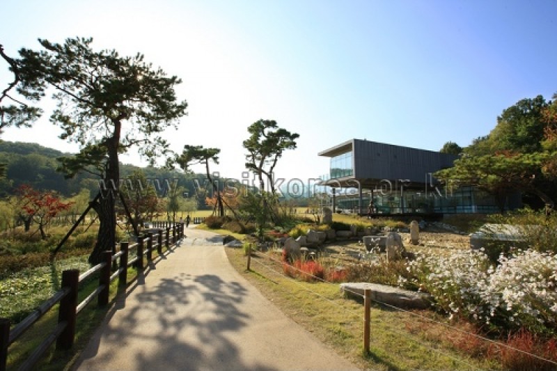 奇思妙想美術館(상상톡톡 미술관)