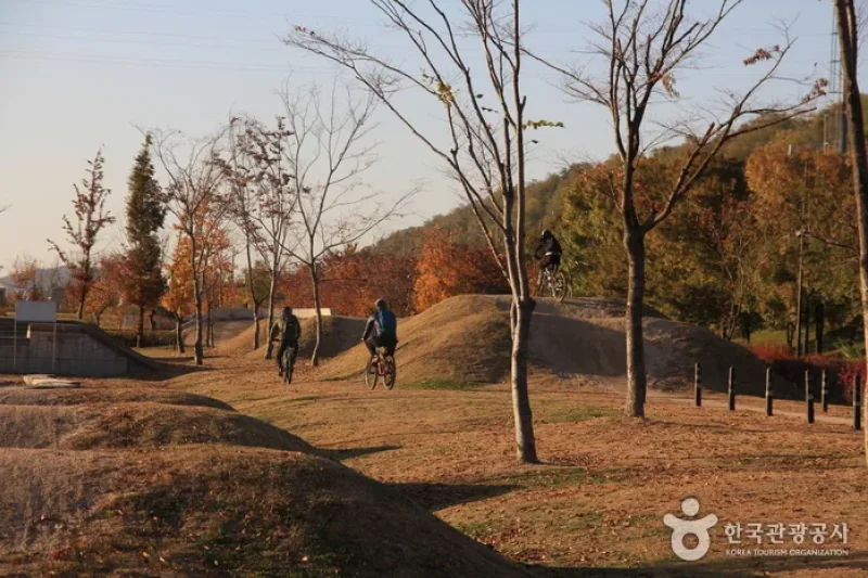 蘭芝漢江公園MTB練習場