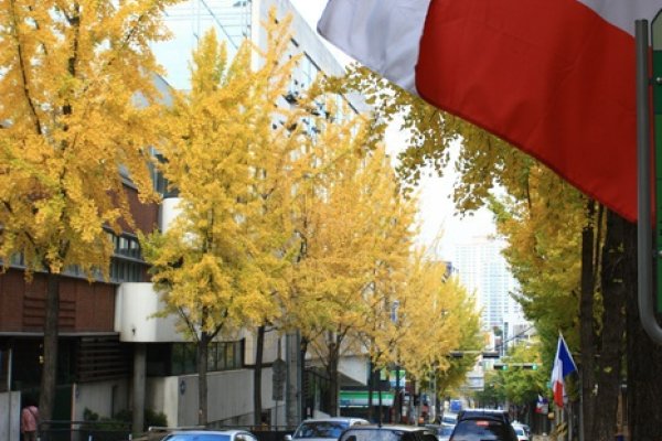 瑞來村