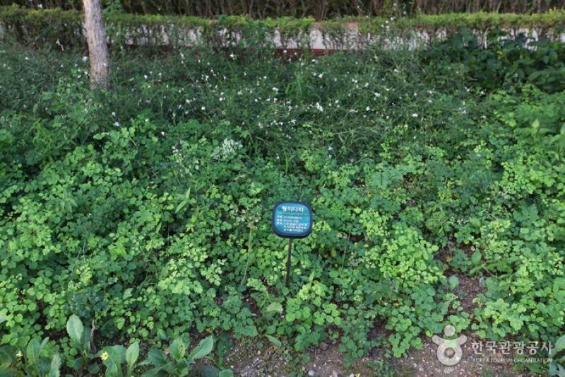 南山戶外植物園 (2/5)