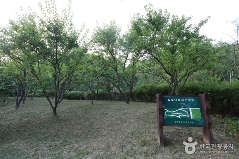 南山戶外植物園 (3/5)