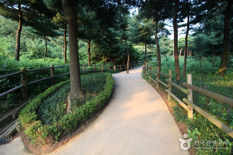 南山戶外植物園 (5/5)