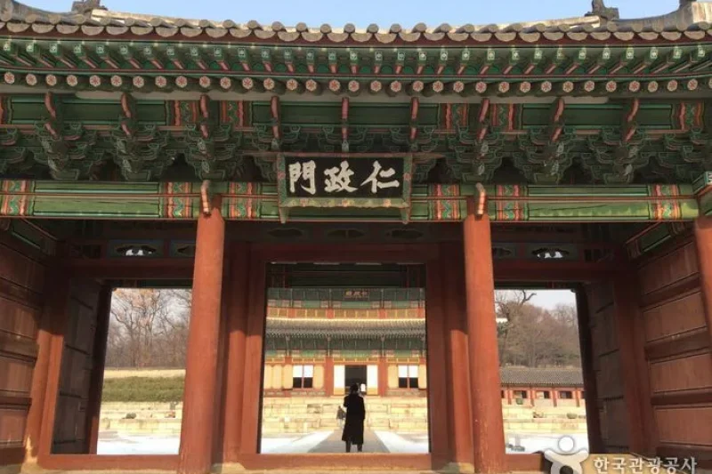 昌德宮仁政門(창덕궁 인정문) (15/16)