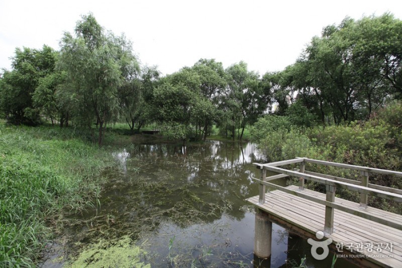 汝矣島河口生態公園(여의도샛강생태공원)