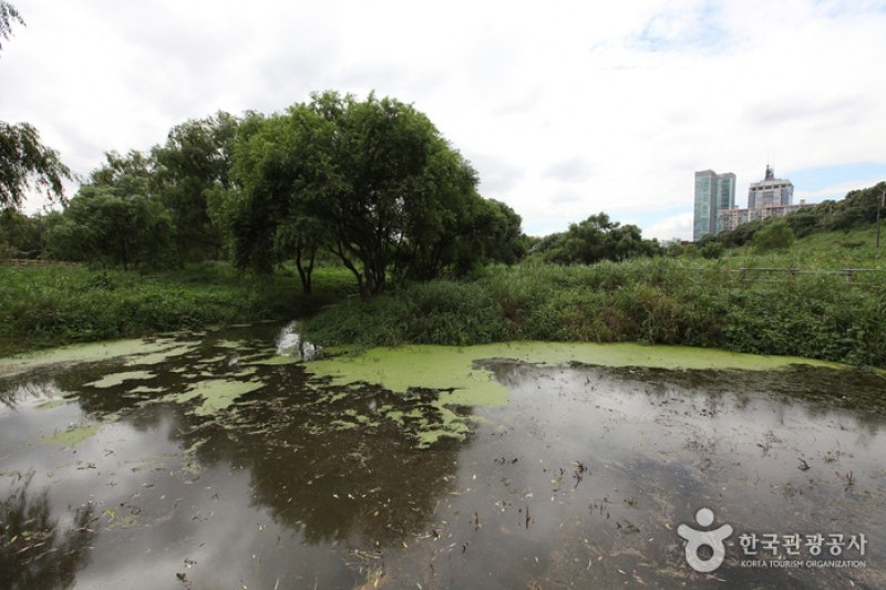汝矣島河口生態公園(여의도샛강생태공원)