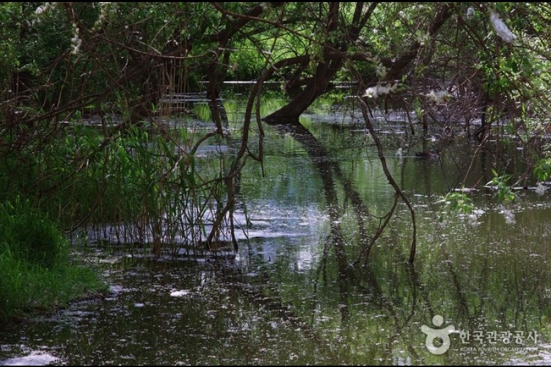 汝矣島河口生態公園(여의도샛강생태공원)