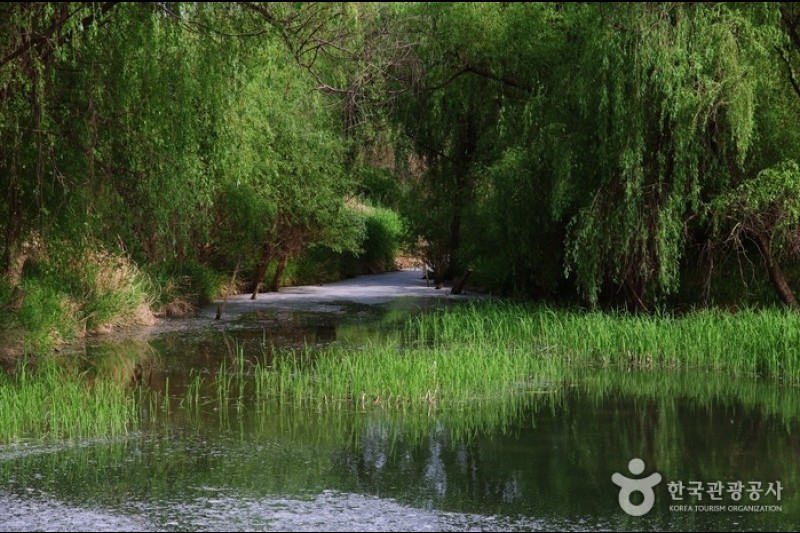 汝矣島河口生態公園(여의도샛강생태공원)