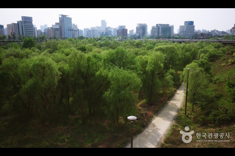 汝矣島河口生態公園(여의도샛강생태공원)