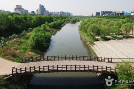 汝矣島河口生態公園(여의도샛강생태공원)