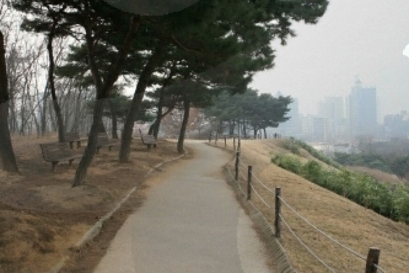 首爾夢村土城