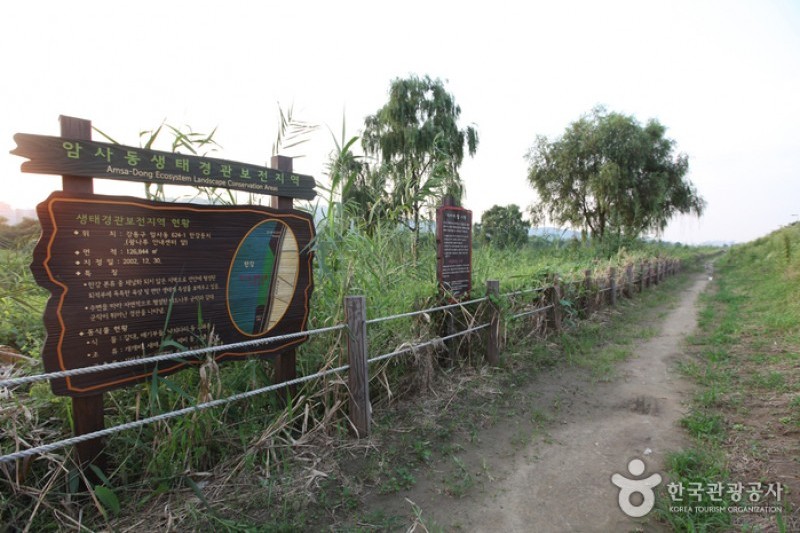 漢江市民公園廣渡口地區