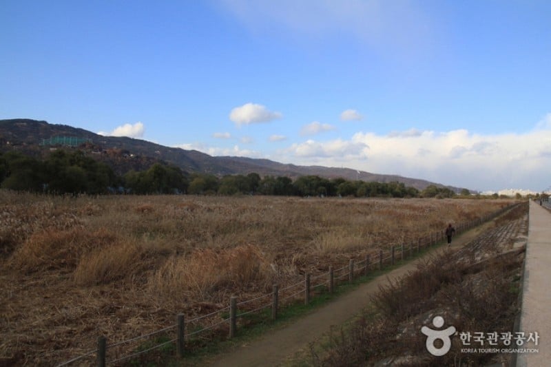 岩寺生態公園