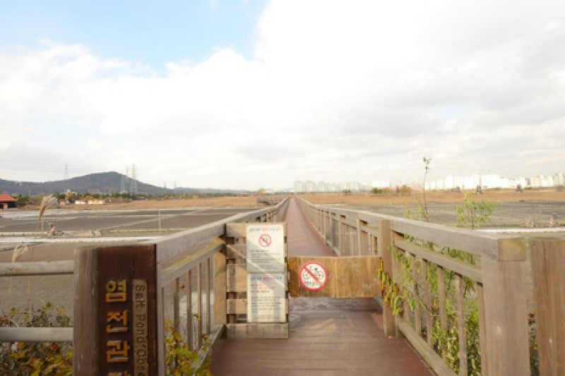 蘇萊濕地生態公園(소래습지생태공원)