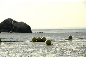 Minmeoru海邊