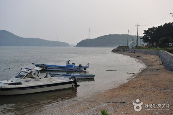 巨蠶浦海邊