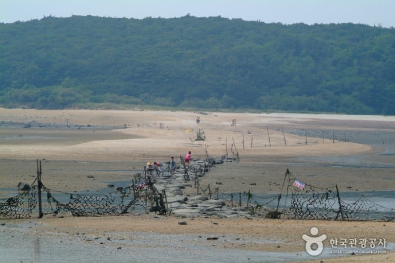 電影《實尾島》外景地영화 [실미도] 촬영지