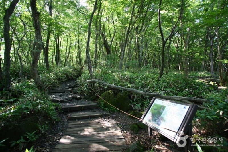 漢拿山國立公園[聯合國教科文組織世界自然遺產]