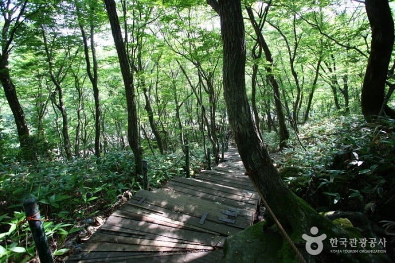 漢拿山國立公園[聯合國教科文組織世界自然遺產]
