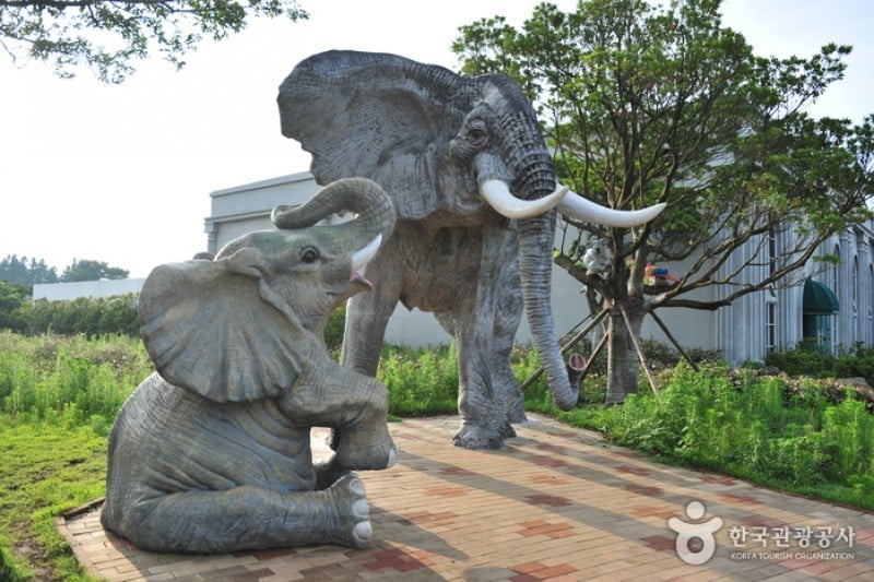 韓國錯視藝術博物館(濟州) (17/34)