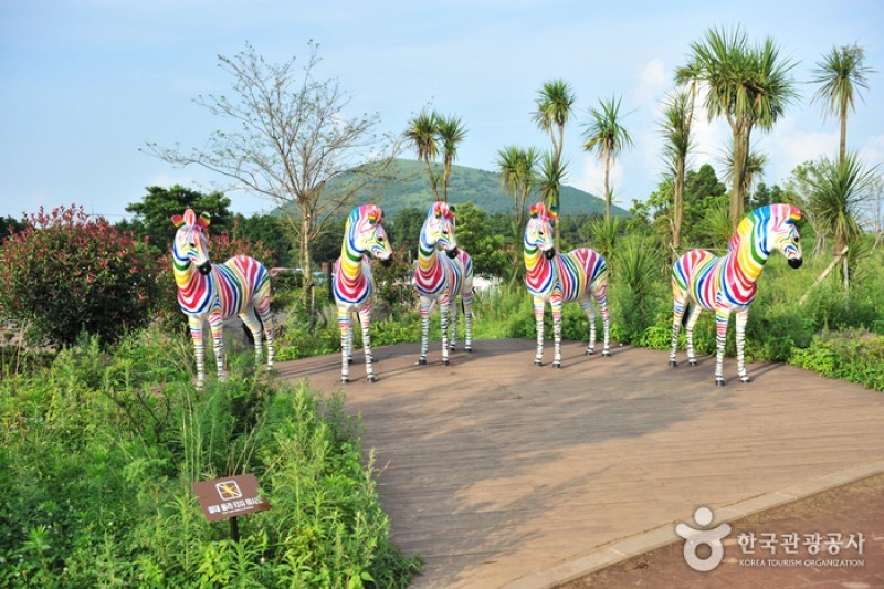 韓國錯視藝術博物館(濟州) (22/34)