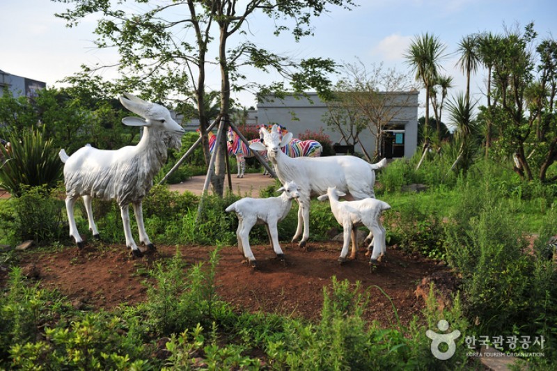韓國錯視藝術博物館(濟州) (23/34)