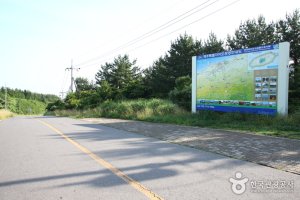 神秘的道路